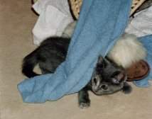 Beim Verstecken