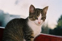 Nochmal Xena