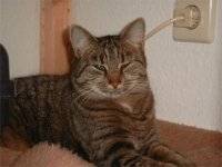 Xena