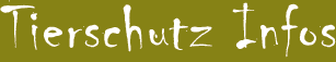MIAU Tierschutz Seiten